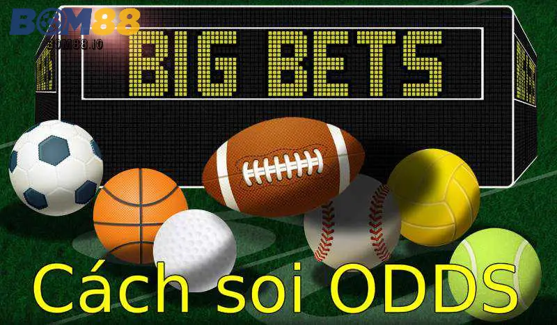 Tầm Quan Trọng của Odds trong Cá Độ Bóng Đá