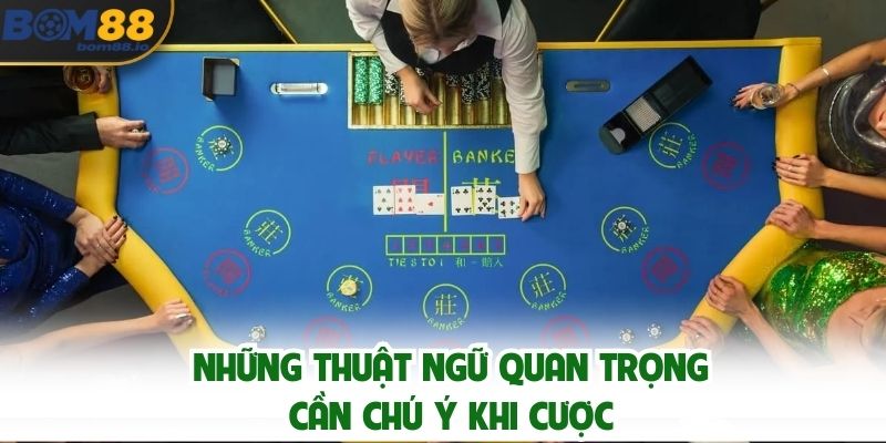 Những thuật ngữ quan trọng cần chú ý khi cược